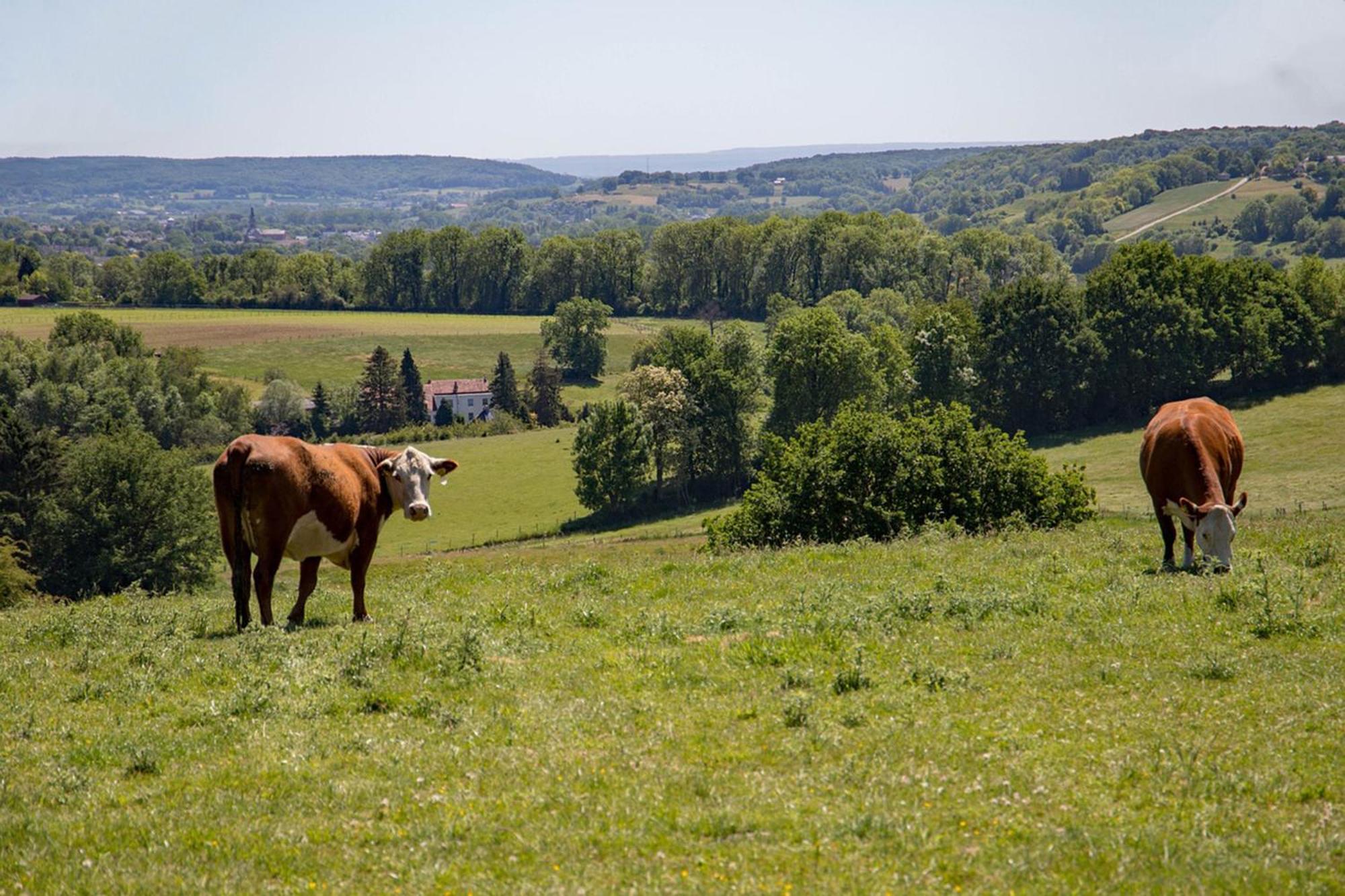 Bnb Het Geluk Van Limburg Мехелен Экстерьер фото