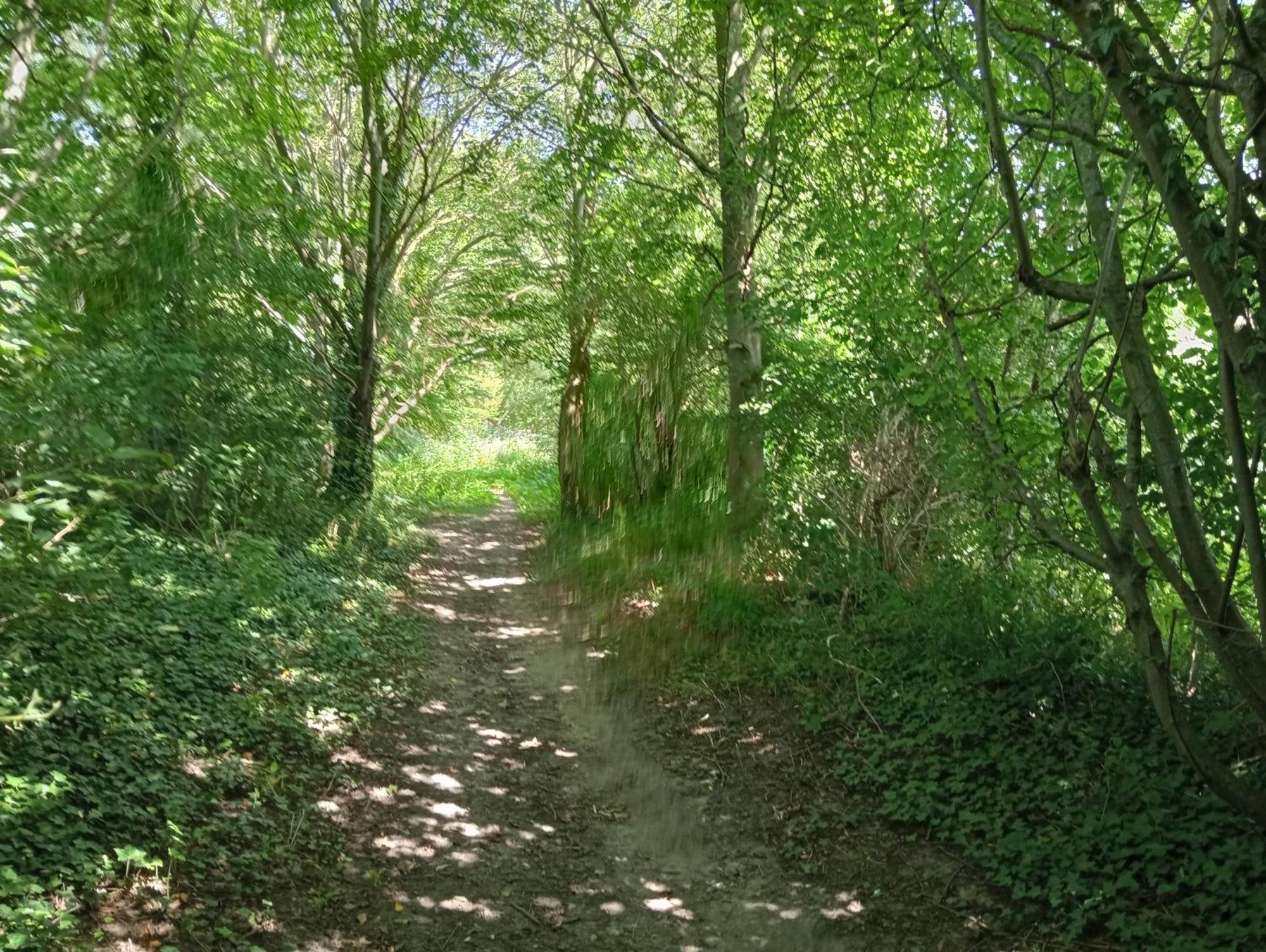 Bnb Het Geluk Van Limburg Мехелен Экстерьер фото